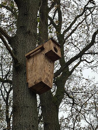 Der Waldkauzkasten gespendet vom Kolping-Bildungswerk in Dülken