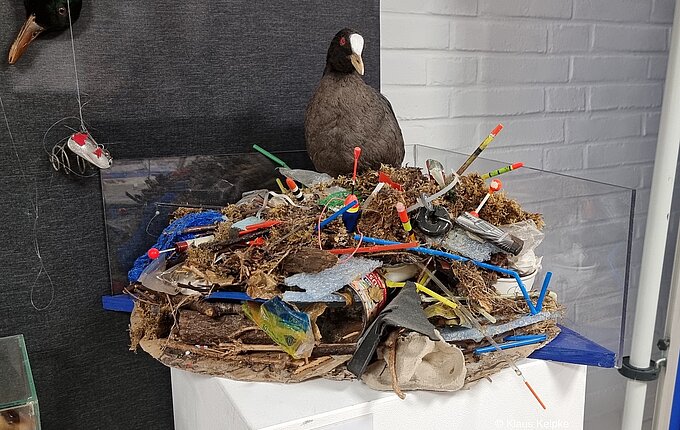 Die Vielfältigkeit des Mülls denen die Tiere ausgesetzt sind macht die Besucher unserer Ausstellung oft sehr betroffen. Foto: Klaus Keipke