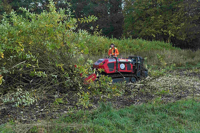 Wiese mit Forstmulcher