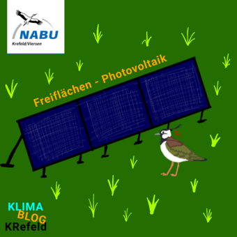 Foto/Grafik: NABU Krefeld/Viersen Amelie Waletzke