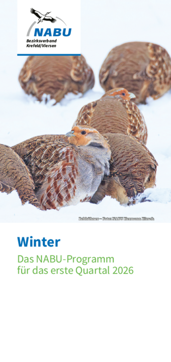 Quartalsprogramm 1/2026