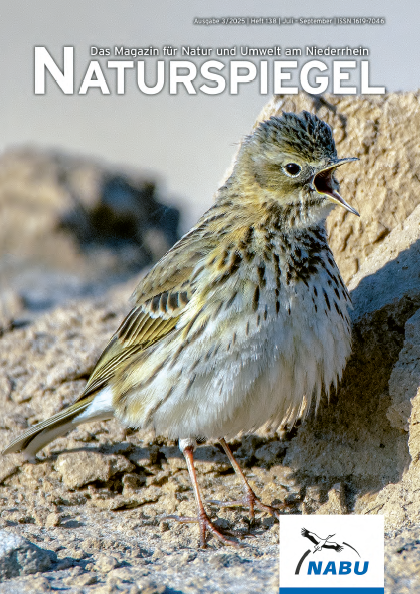 Naturspiegel - Unser Mitgliedermagazin